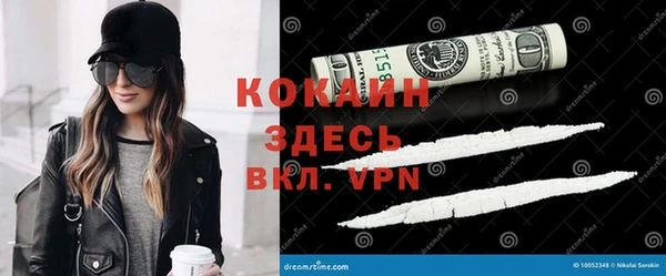 спиды Богородицк
