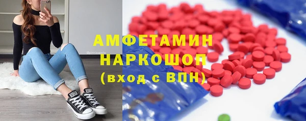 спиды Богородицк