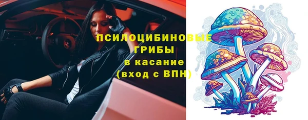спиды Богородицк