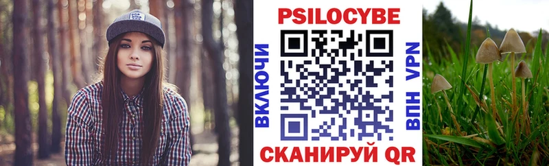 Галлюциногенные грибы Cubensis  кракен как зайти  Бугульма  наркота 
